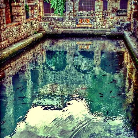 Severin Mrsic * Stari Grad (Hvar)