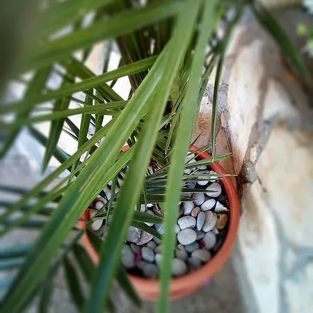Appartamento Severin Mrsic *